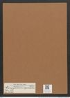 Campylodiscus diplostictus Norm. (de-Toni-Nr.: Genus 57, Species 2457) Zeichnungen Sammlung Grunow Mappe 02631 (Herbarium_W_Grunow_drawings_Folder_02631)